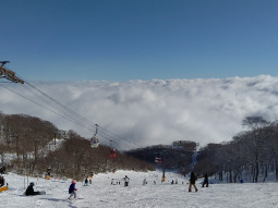 休日の過ごし方