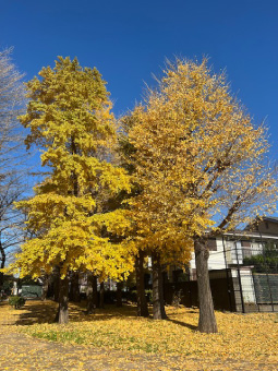 休日の過ごし方