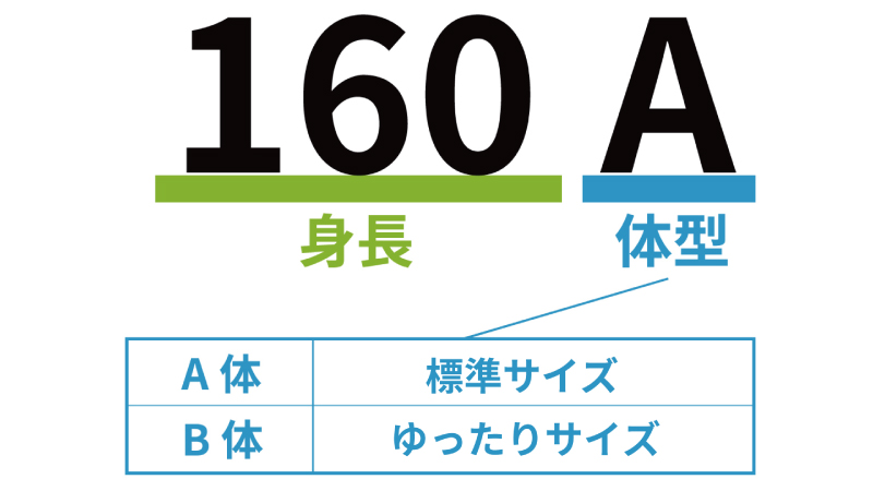 学生服　サイズ12　Ｖ-ＹＯＵＮＧ ハイグレード学生服サイズ表とサイズの選び方