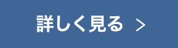 詳しく見る