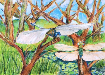 トンボ絵画コンクール：第34回 小学5年生の部 大賞｜トンボ学生服 