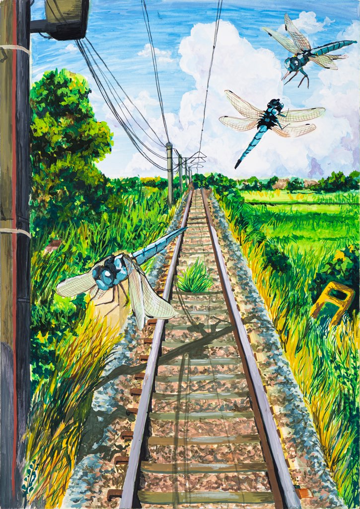 高校生の部 入賞作品 トンボ絵画コンクール