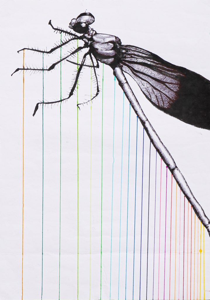 高校生の部 入賞作品 トンボ絵画コンクール