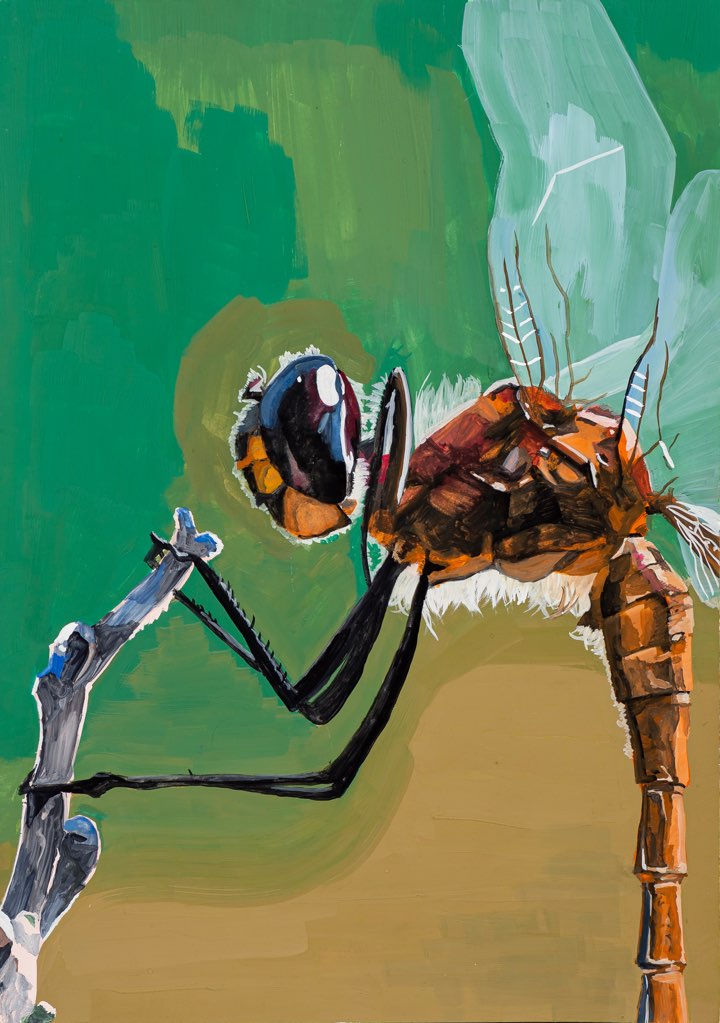 高校生の部 入賞作品 トンボ絵画コンクール