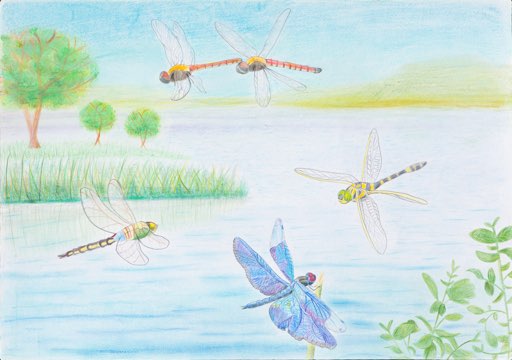 小学5年生の部 入賞作品 トンボ絵画コンクール 小学5年生の部 入賞作品 トンボ絵画コンクール
