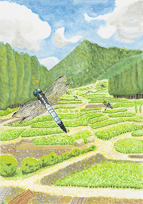 小学5年生の部入賞作品 Weloveトンボ絵画コンクール