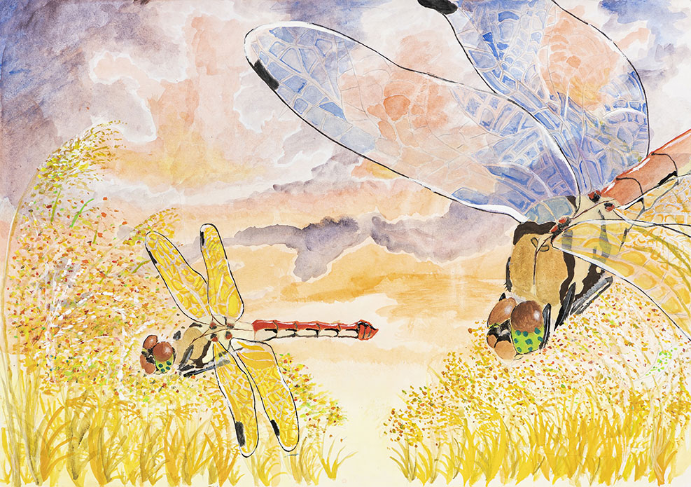 小学6年生の部入賞作品 | WELOVEトンボ絵画コンクール