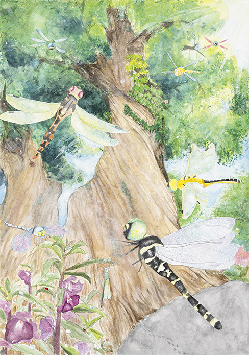小学5年生の部入賞作品 | WELOVEトンボ絵画コンクール