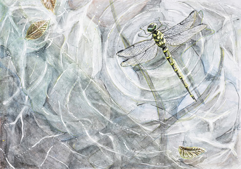 小学6年生の部入賞作品 | WELOVEトンボ絵画コンクール