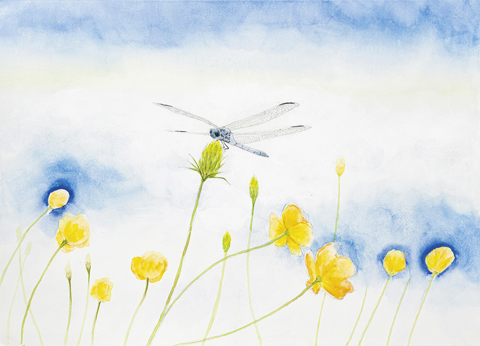 小学5年生の部入賞作品 | WELOVEトンボ絵画コンクール