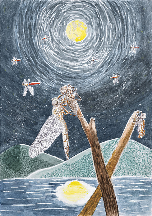 小学5年生の部入賞作品 | WELOVEトンボ絵画コンクール