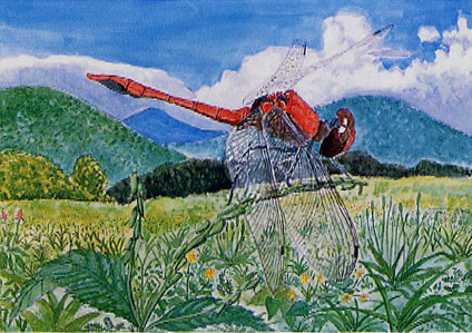 トンボ絵画コンクール 今までの受賞作品 トンボ学生服 とんぼ体操服の株式会社トンボ